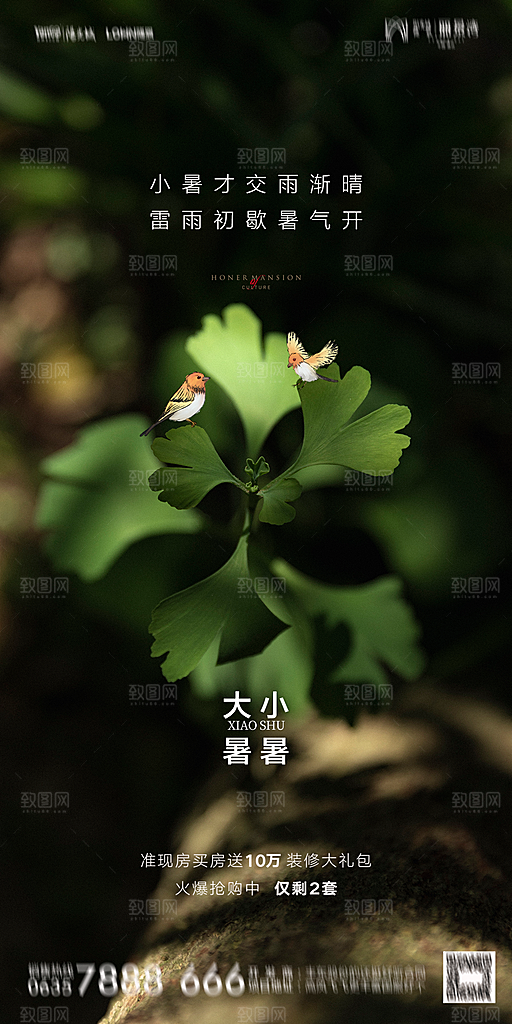 地产小暑节气简约大气海报