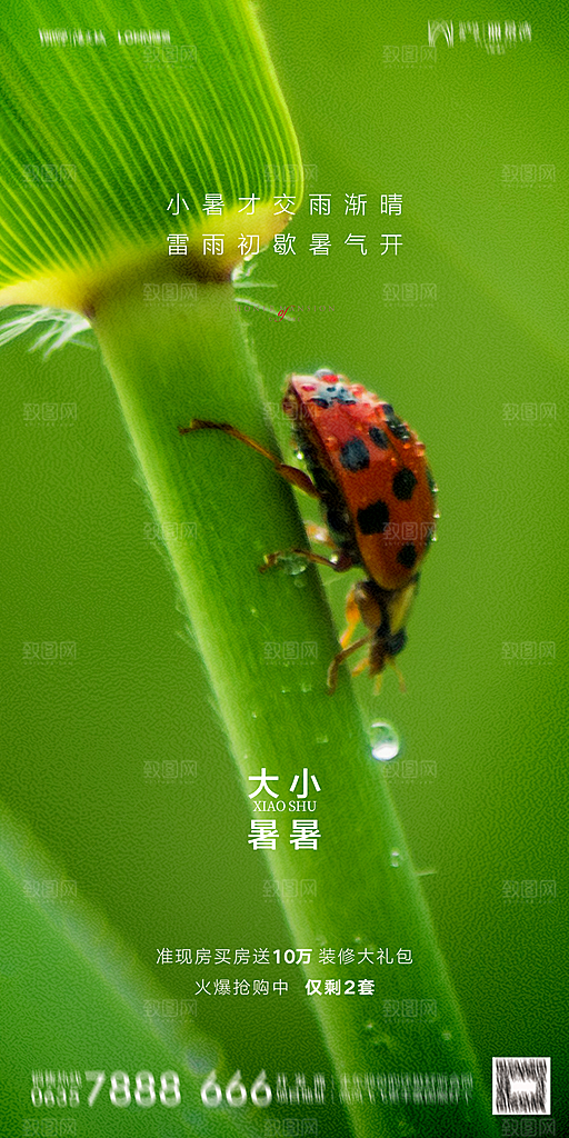 地产小暑节气简约大气海报