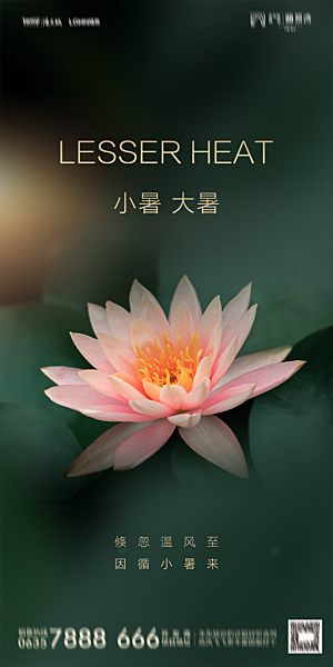 地产小暑节气简约大气海报
