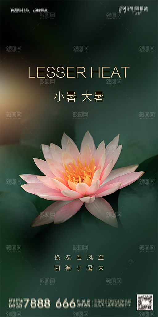 地产小暑节气简约大气海报