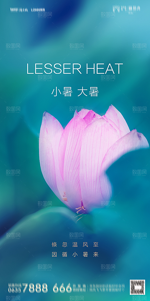 地产小暑节气简约大气海报
