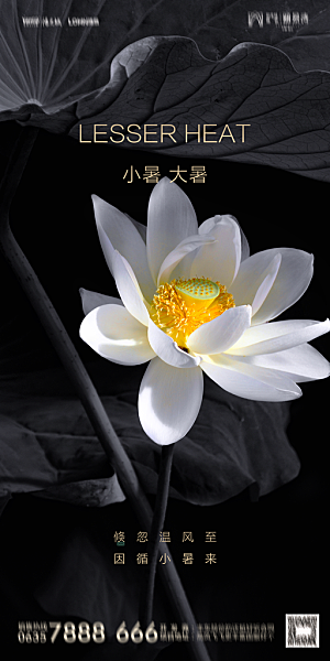 地产小暑节气简约大气海报