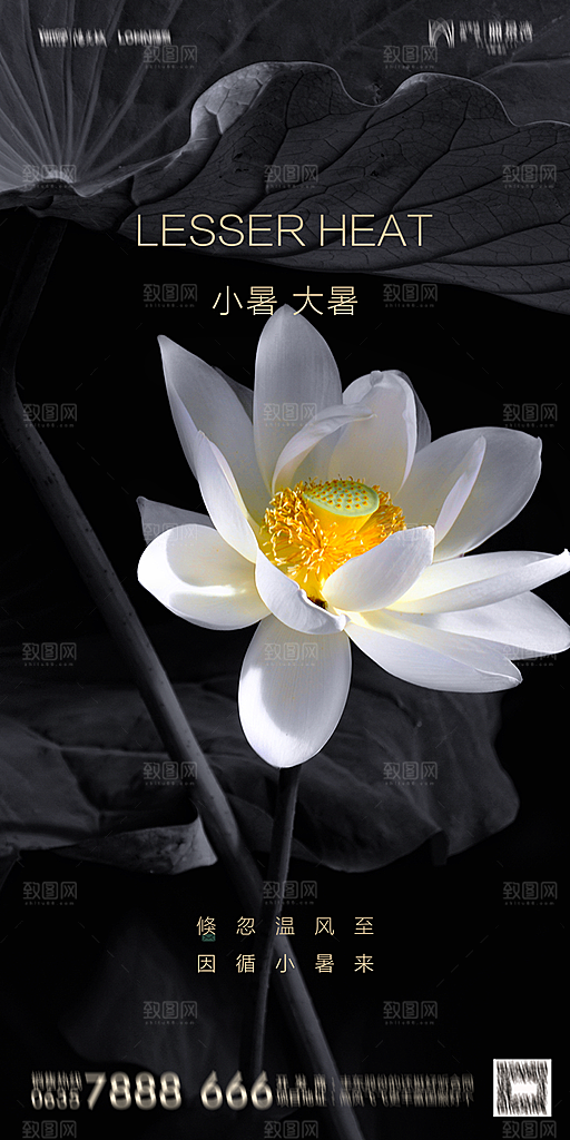地产小暑节气简约大气海报