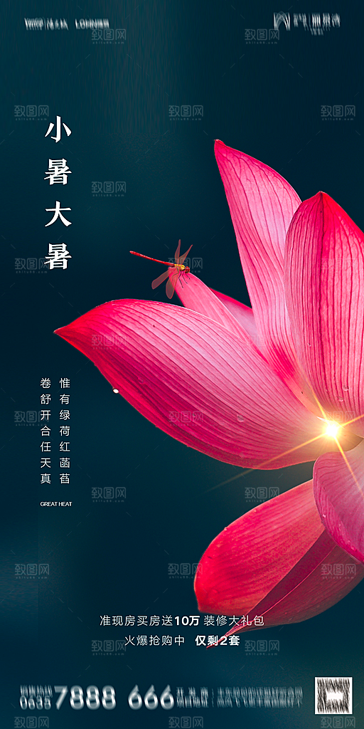 地产小暑节气简约大气海报