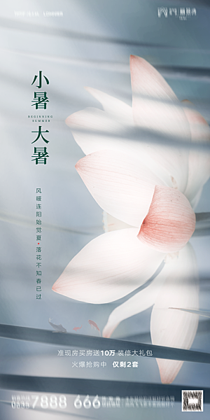 地产小暑节气简约大气海报