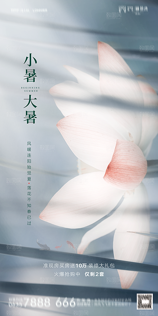 地产小暑节气简约大气海报