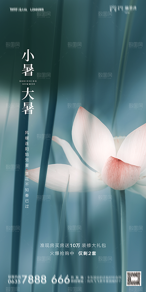 地产小暑节气简约大气海报