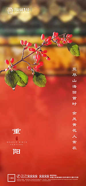 重阳节节日节气宣传广告