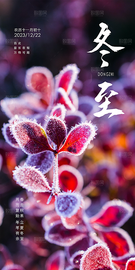 二十四节气冬至海报