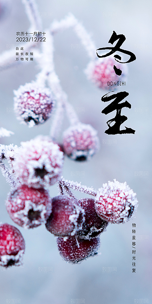 二十四节气冬至海报