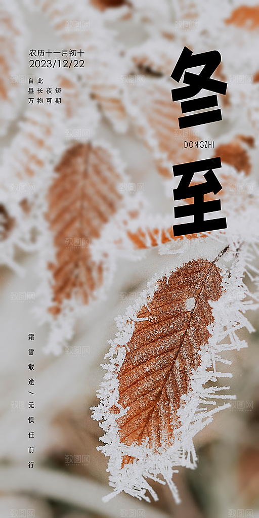 二十四节气冬至海报