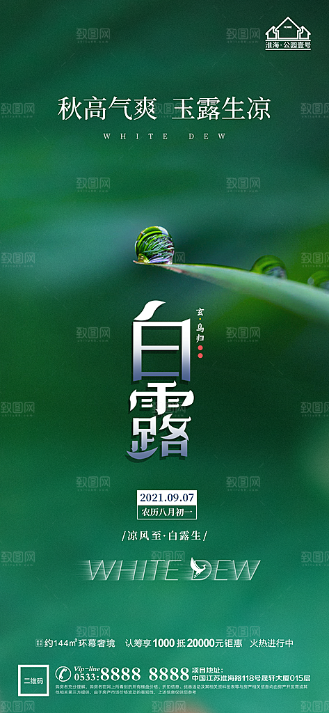 白露节日节气宣传广告
