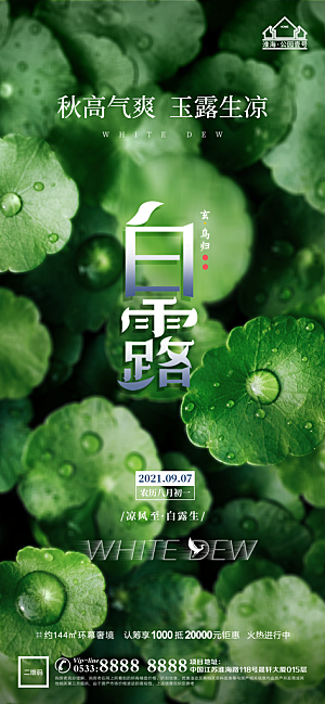 白露节日节气宣传广告