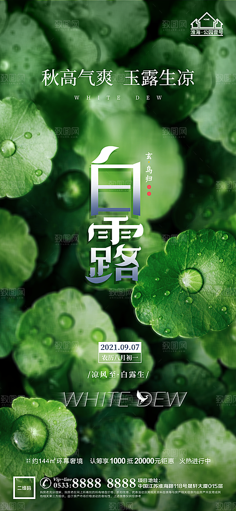 白露节日节气宣传广告