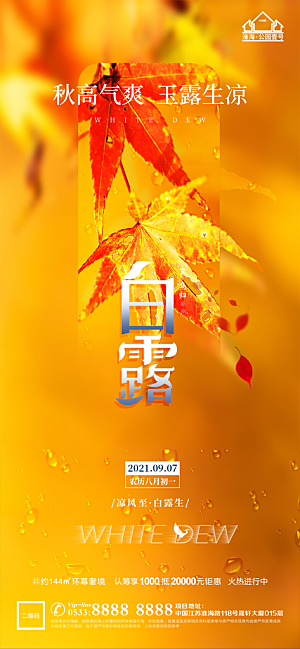 白露节日节气宣传广告
