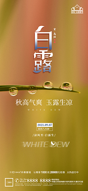 白露节日节气宣传广告