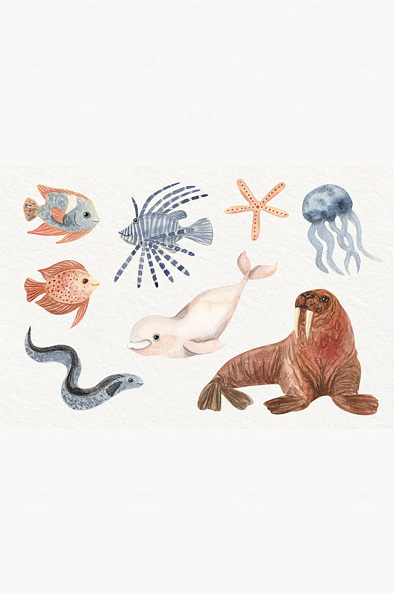 水彩风海洋生物矢量元素
