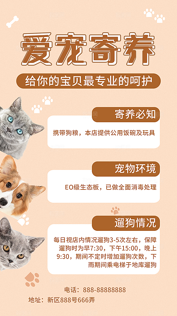 猫狗宠物店护理托管手机海报