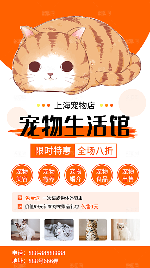 猫狗宠物店护理托管手机海报