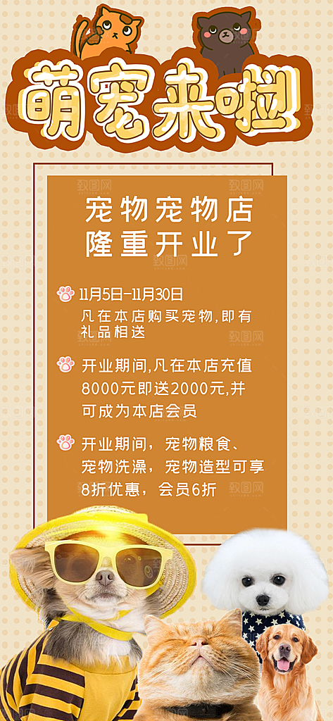 猫狗宠物店护理托管手机海报
