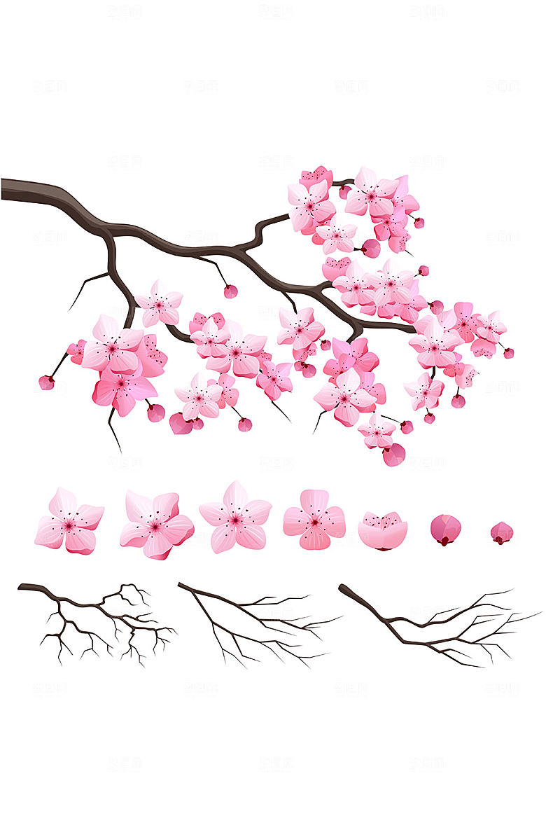 桃花花瓣树枝矢量元素