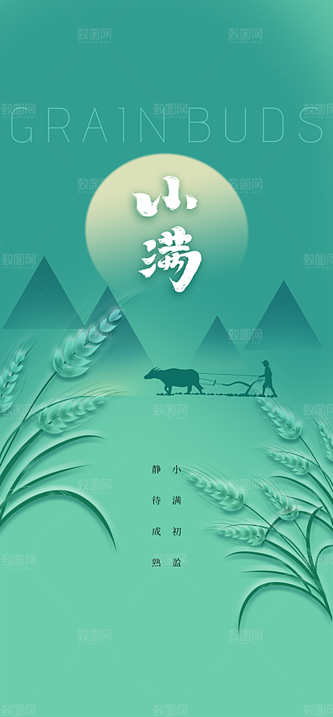 地产小满节气简约大气海报