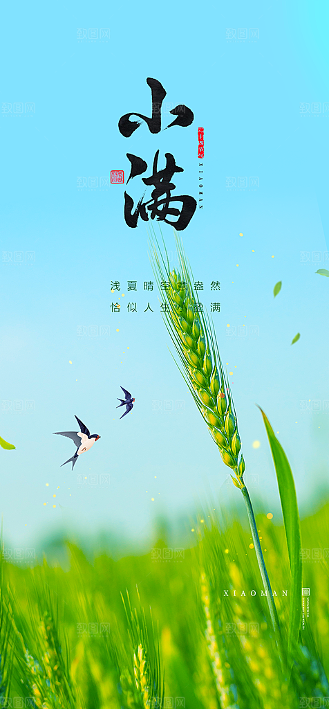 地产小满节气简约大气海报
