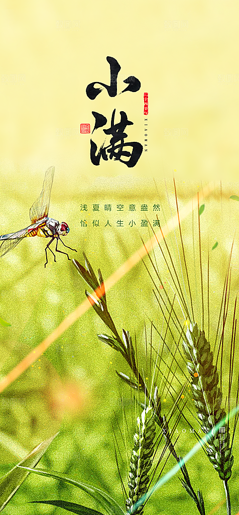 地产小满节气简约大气海报