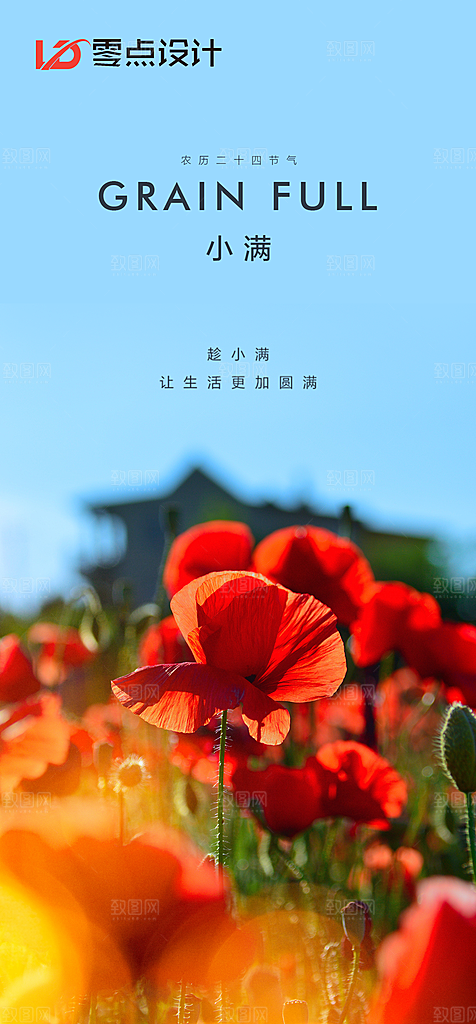 地产小满节气简约大气海报