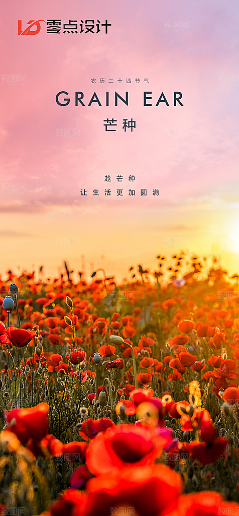 地产小满节气简约大气海报