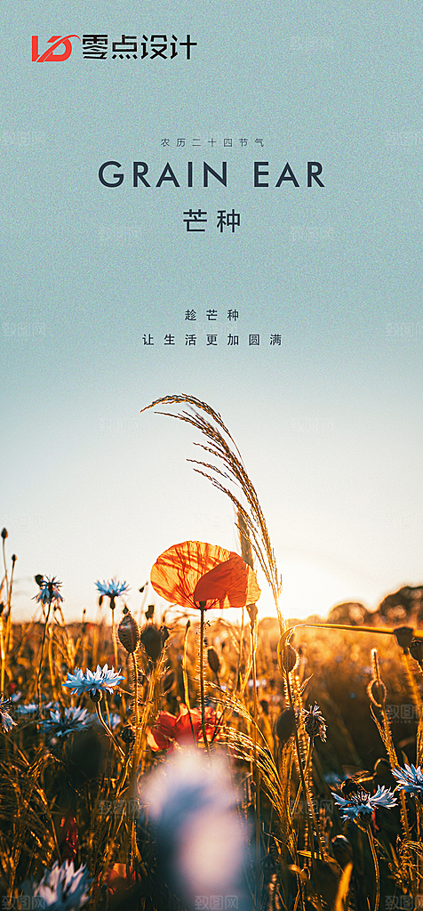 地产小满节气简约大气海报
