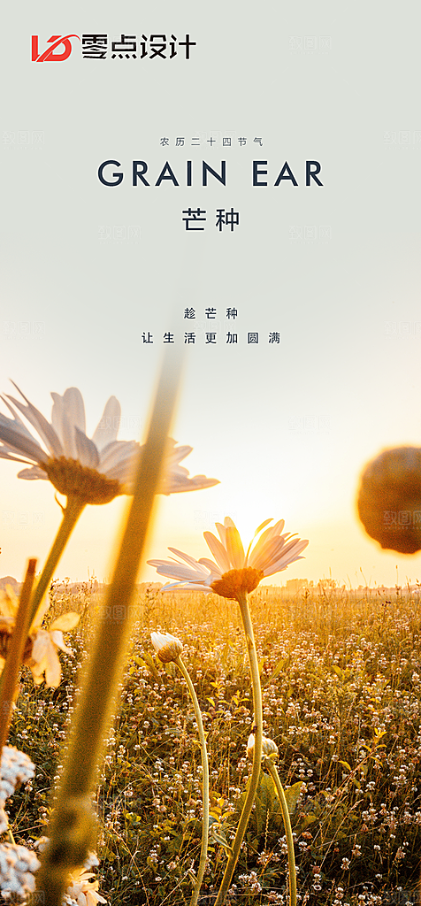 地产小满节气简约大气海报