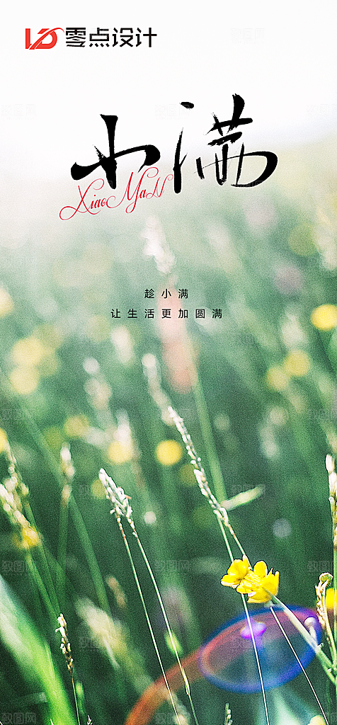 地产小满节气简约大气海报