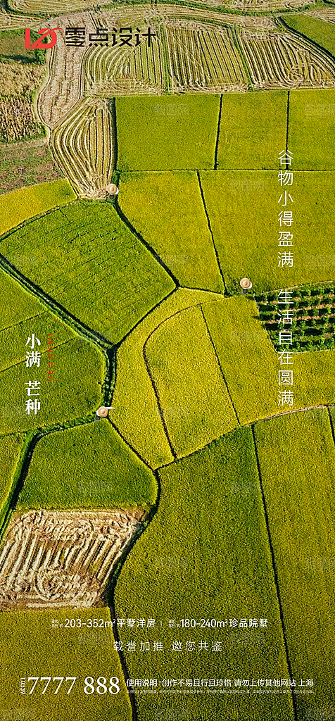 地产小满节气简约大气海报