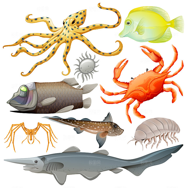 水产海鲜海洋生物矢量元素