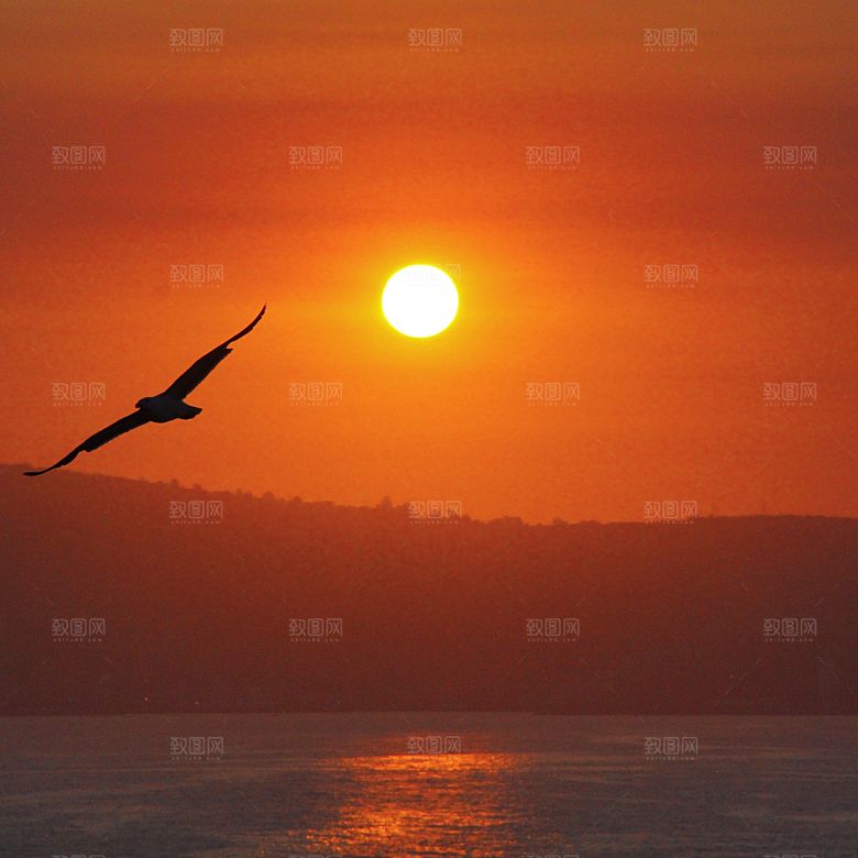 大海天空海面海景夕阳朝霞黄昏落日晚霞