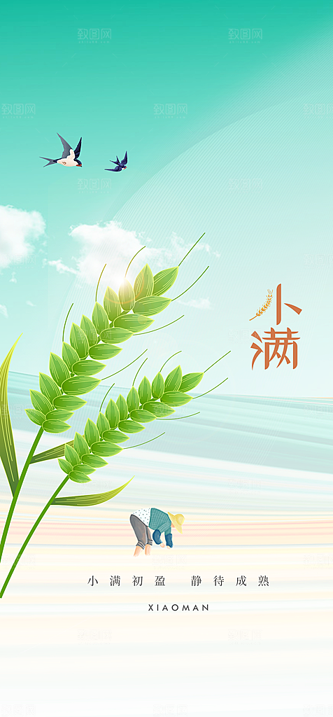 地产小满节气简约大气海报