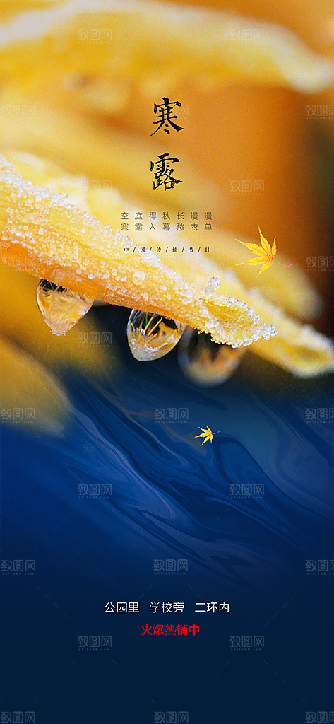 中国传统节气寒露手机海报
