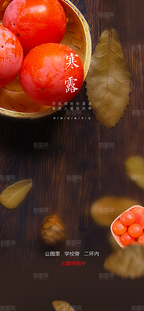 中国传统节气寒露手机海报