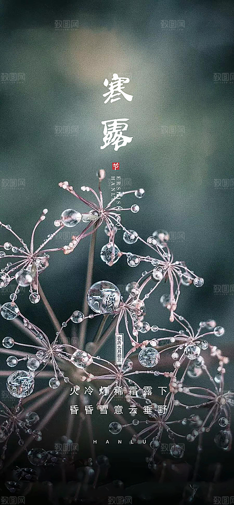 中国传统节气寒露手机海报