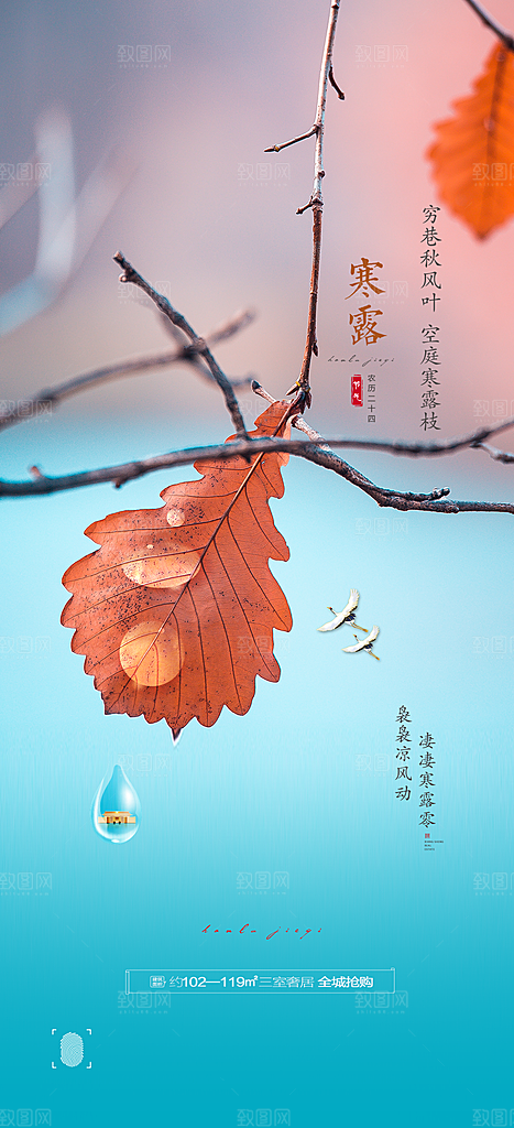 中国传统节气寒露手机海报