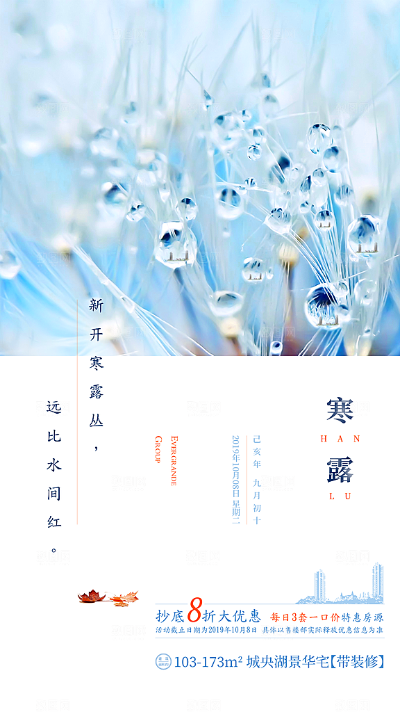 中国传统节气寒露手机海报