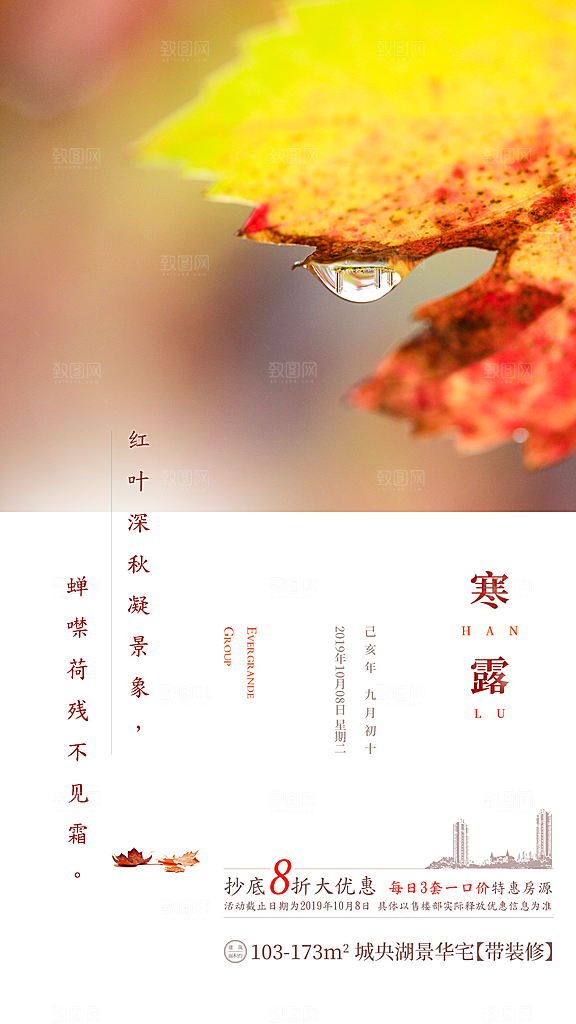 中国传统节气寒露手机海报