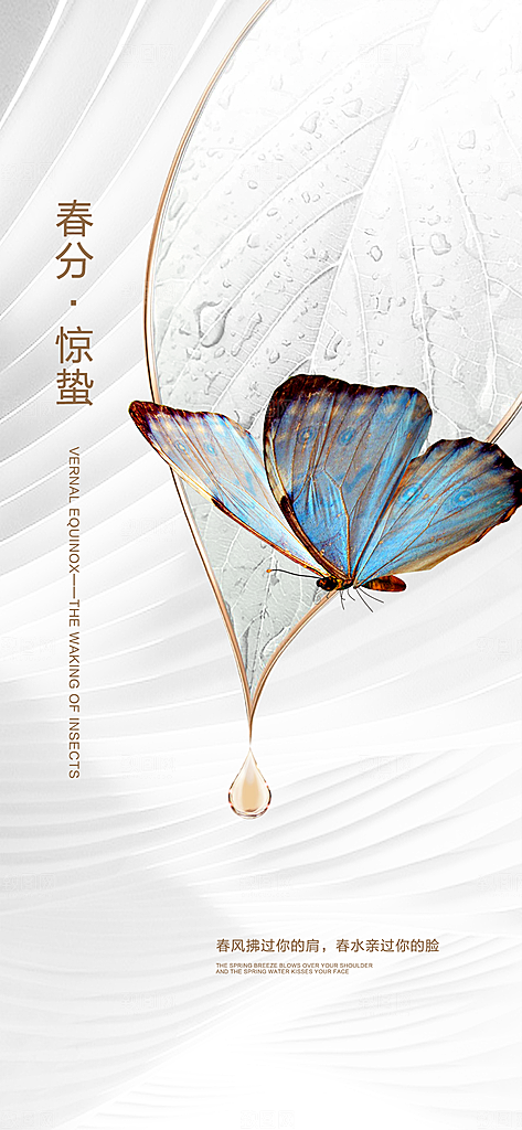 中国传统节气惊蛰手机海报