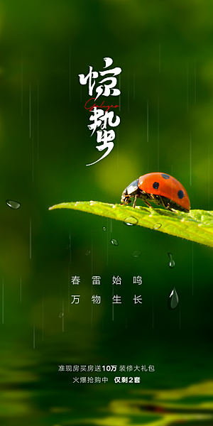 中国传统节气惊蛰手机海报