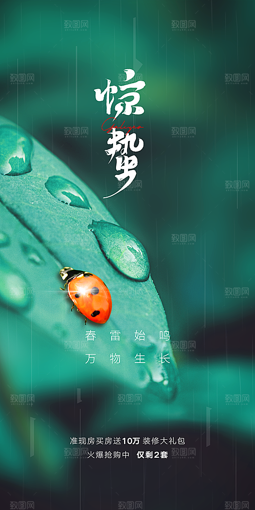 中国传统节气惊蛰手机海报