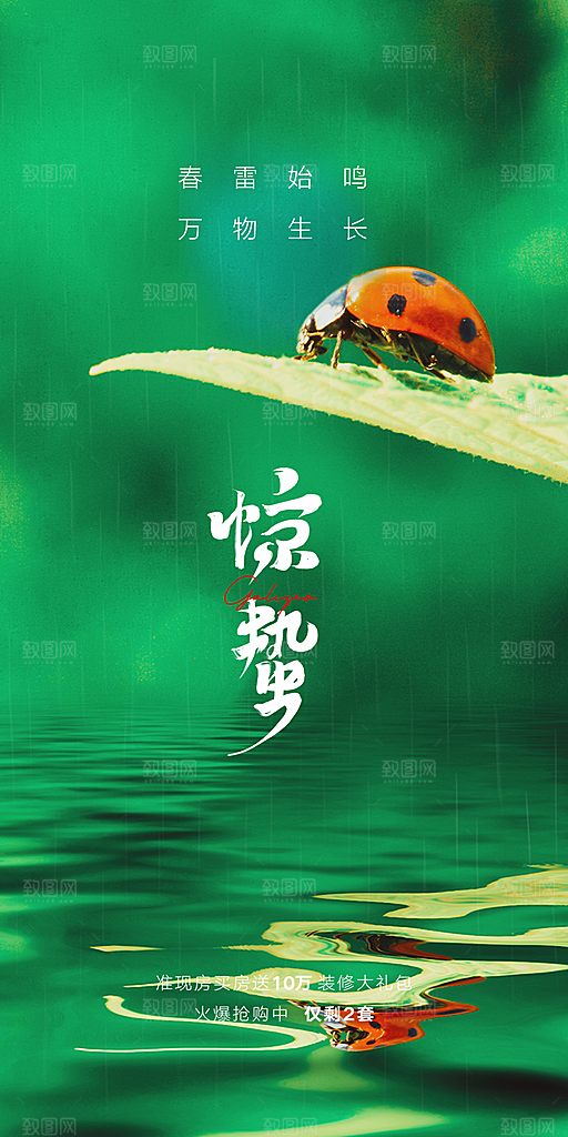 中国传统节气惊蛰手机海报