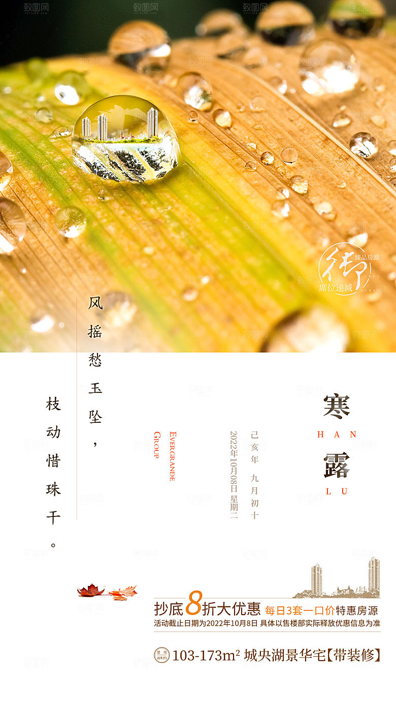 中国传统节气寒露手机海报