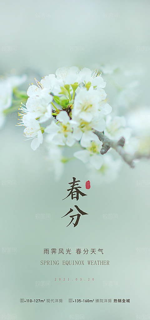 中国传统节气春分手机海报