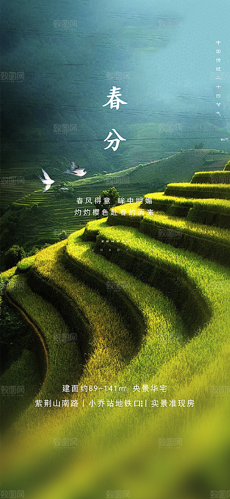 中国传统节气春分手机海报